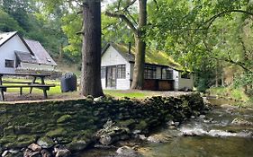 Cuckoo Cabin, Tyn Y Cwm